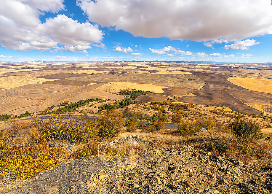 A view of farmlands up to 200 miles away at the Steptoe Butte State Park Heritage Site Natural Landmark in Whitman, Washington. — Kirk Fisher // Shutterstock