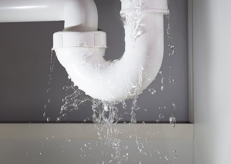 Close-up of a water pipe from under the sink leaking. — Andrey_Popov // Shutterstock