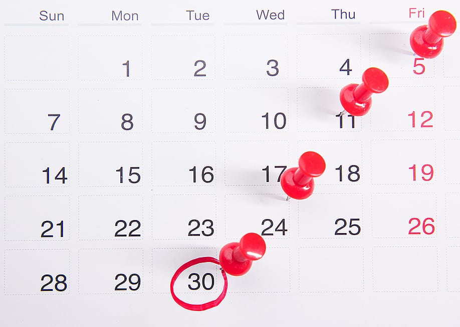 Pushpins on a calendar with an encircled date. — Towfiqu ahamed barbhuiya // Shutterstock