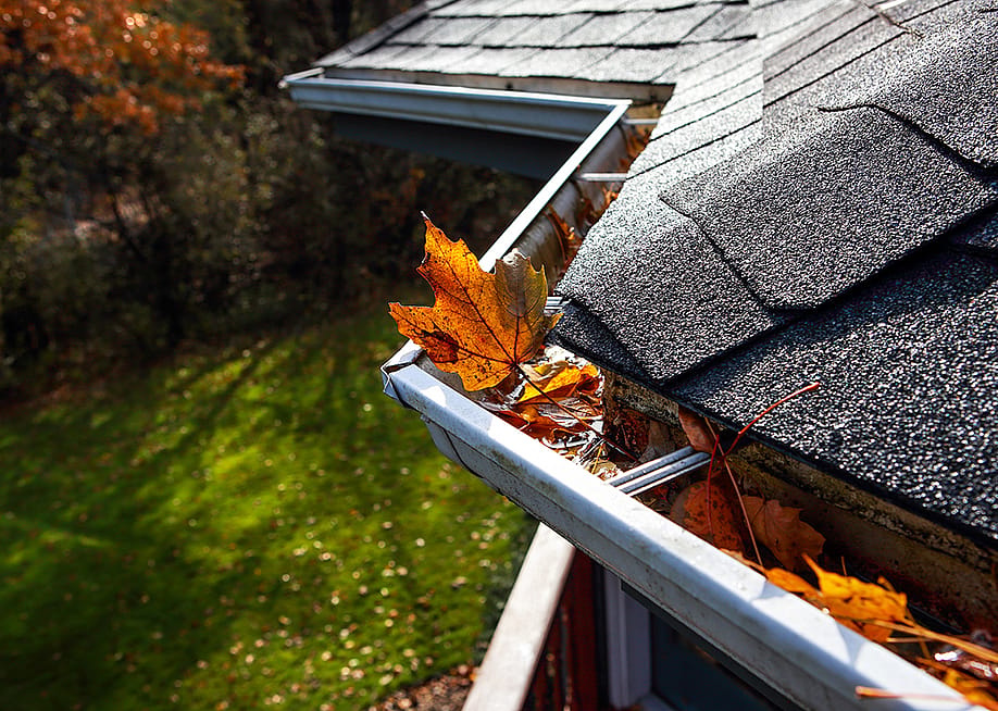 Autumn leaves settle in a rain gutter on a roof. — Suzanne Tucker // Shutterstock