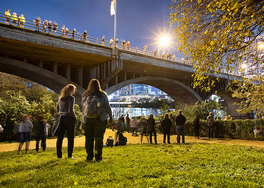 Under the Congress Avenue Bridge in downtown Austin, Texas. — AevanStock // Shutterstock