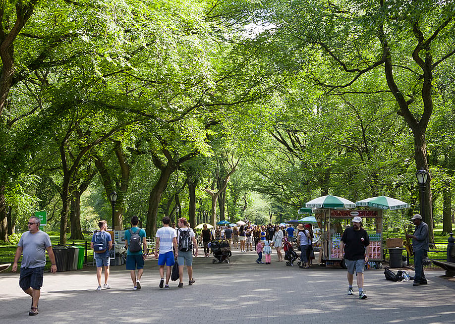 Pedestrians under trees of the Mall in Central Park, New York City. — Stephen J. Boitano // LightRocket via Getty Images