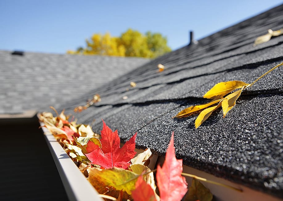 Autumn leaves accumulate in a house's rain gutter. — Suzanne Tucker // Shutterstock