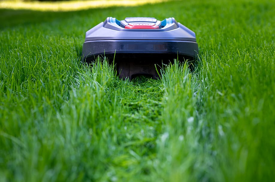 A robot mower cutting high grass. — FrankHH // Shutterstock