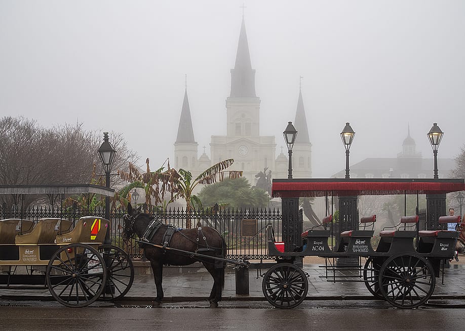 A foggy view of St. Louis' Cathedral in New Orleans, Louisiana on a rainy day. — EchoFree // Shutterstock