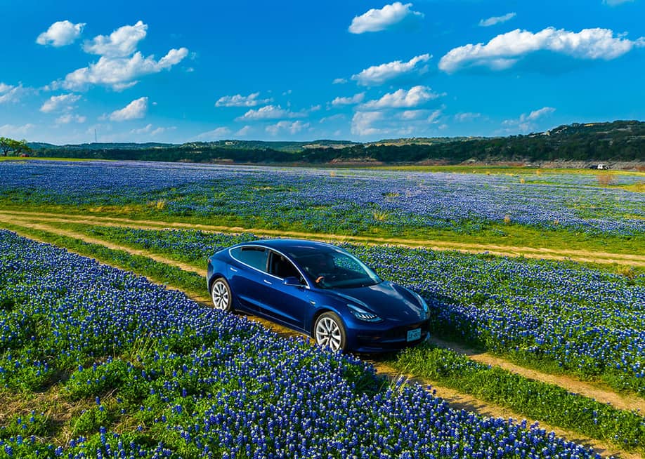 A Tesla Model 3 car driving through a large bluebonnet wildflower field. — Roschetzky Photography // Shutterstock