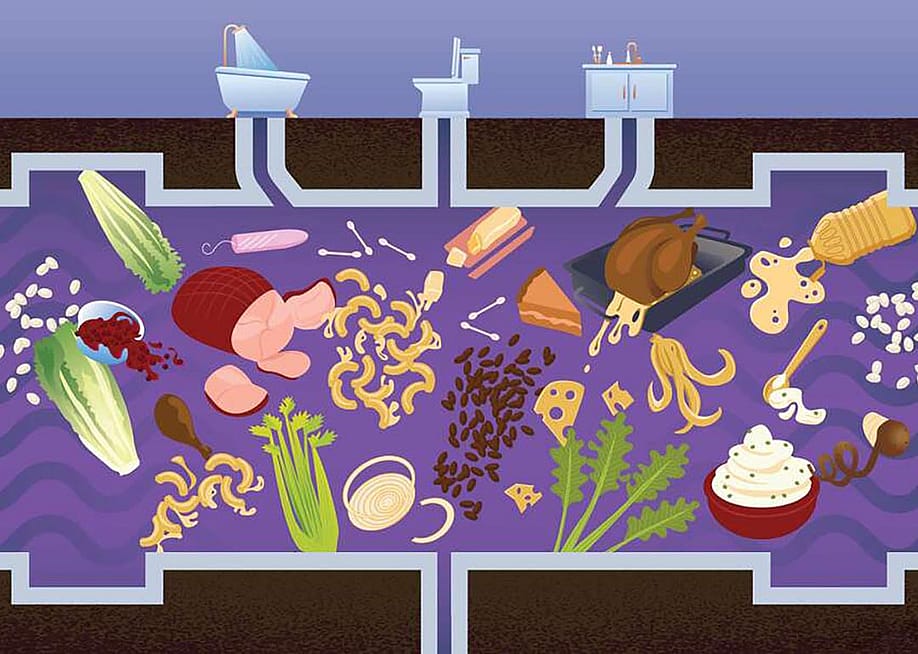 ILlustration depicting all the Thanksgiving detritus that can end up in drains. — Paul Dolan for HomeServe