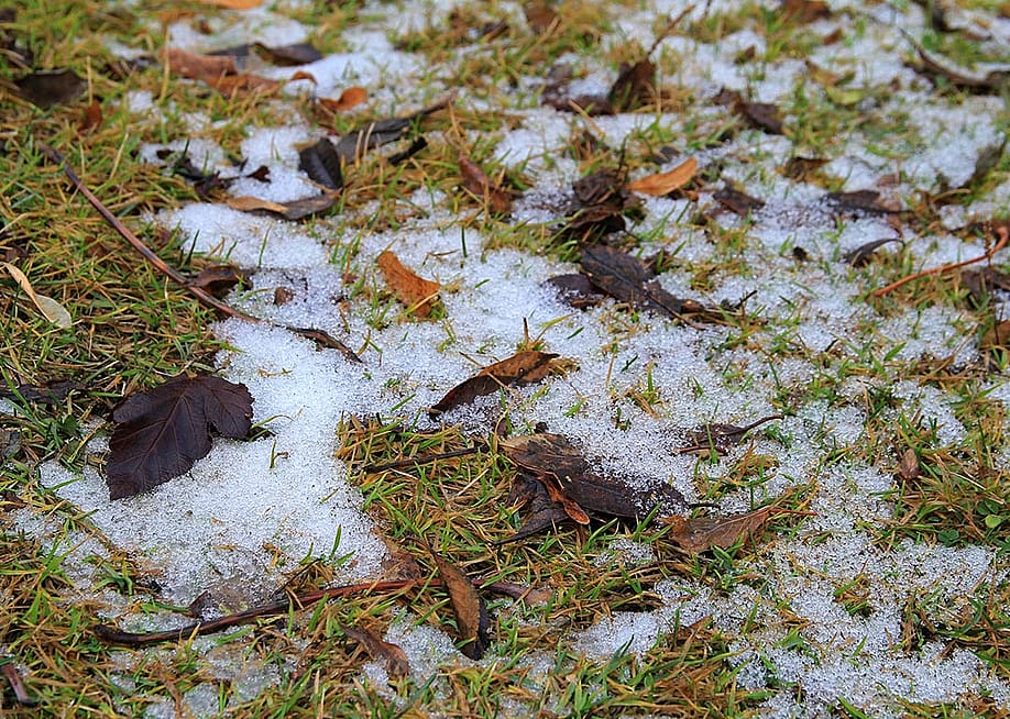 First white snow lay on the grass covered with red and yellow leaves in autumn. — Tania Vino // Shutterstock