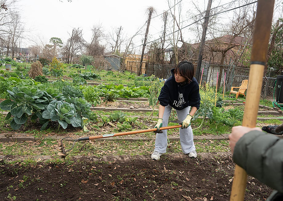 A Rice University student volunteers to prepare garden beds for spring planting at the Alabama Gardens in Houston, Texas. — Sharon Steinmann // Houston Chronicle via Getty Images