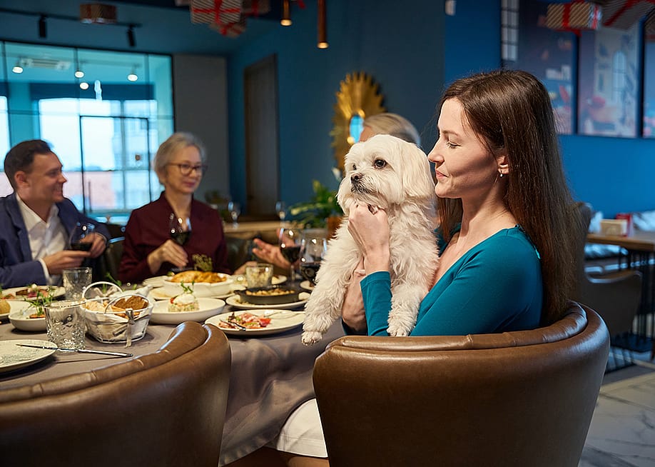 A woman holding her dog during family celebration of New Year's Eve. — Svitlana Hulko // Shutterstock