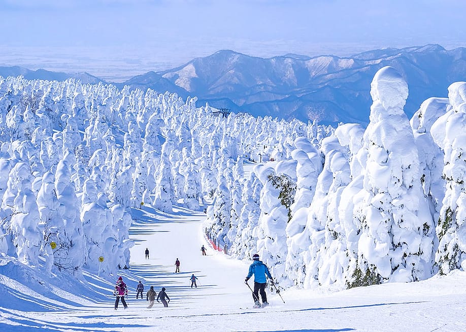 Skiers race down a snow slope in Yamagata, Japan. — Mayumi.K.Photography // Shutterstock