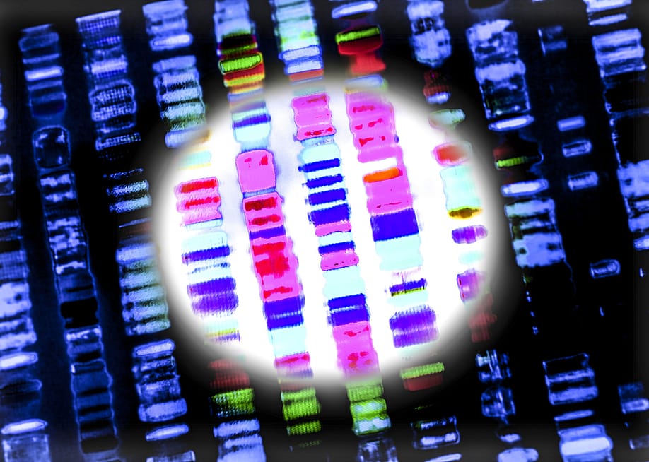 DNA sequence. — Gio.tto // Shutterstock