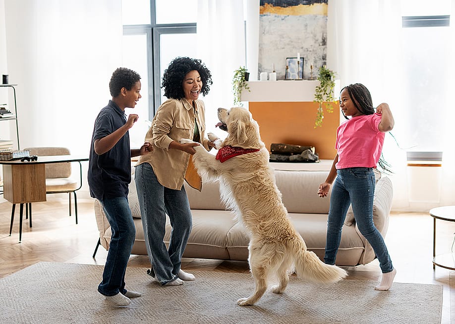 A happy family playing with their golden retriever in their living room. — AYO Production // Shutterstock
