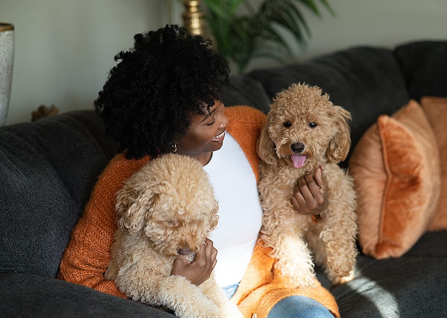 Woman sitting on a sofa with two brown pet poodle dogs. — Porsha Antalan // Shutterstock