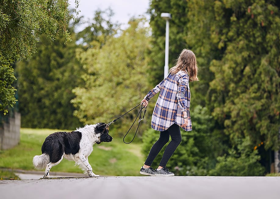 A teenage girl pulling her stubborn dog trying to go for a walk. — Jaromir Chalabala // Shutterstock