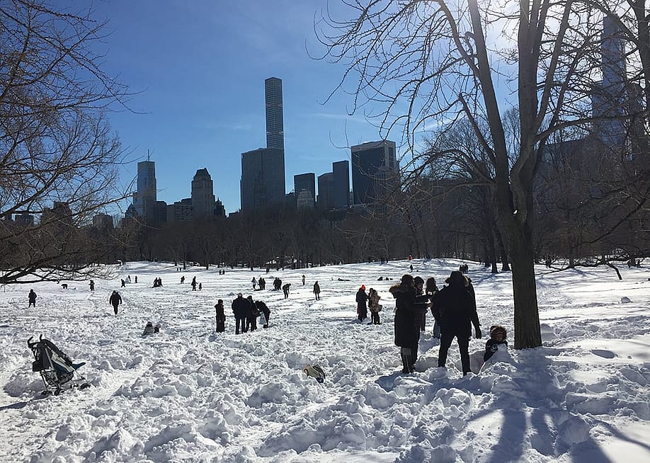 Central Park in New York city, with an accumulated 26.8 inches of snow after a blizzard. — NYCStock // Shutterstock