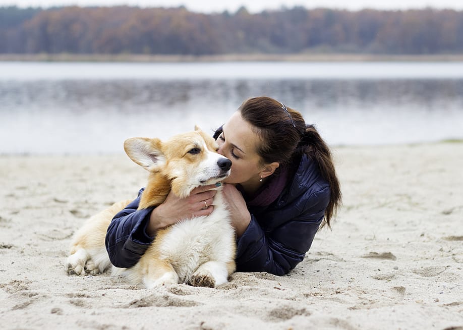A woman lays on the sand at a beach near a lake, hugging and kissing a corgi laying next to her. — Happy monkey // Shutterstock