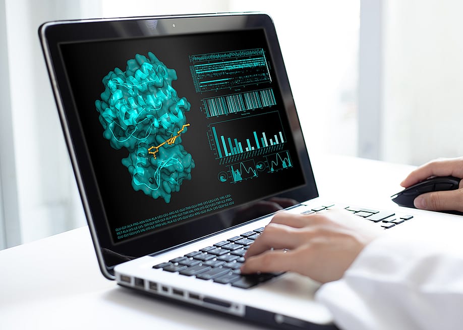 A scientist analyzing a 3D graphic of molecular docking and protein ligand interaction displayed on a laptop. — S. Singha // Shutterstock