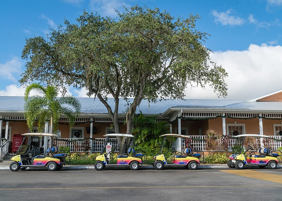 A row of colorful golf carts parked at an RV resort in Florida. — Heidi Besen // Shutterstock