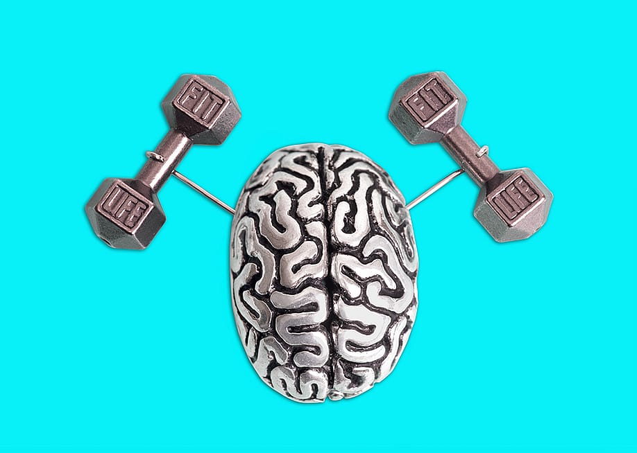 3D illustration of human brain illustrated to carry heavy dumbbells. — Chizhevskaya Ekaterina // Shutterstock