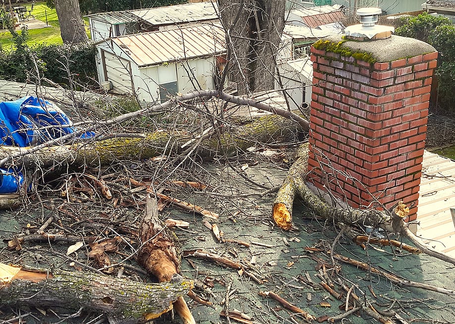 A damaged roof with fallen tree limbs and debris. — Larry Cumpton // Shutterstock