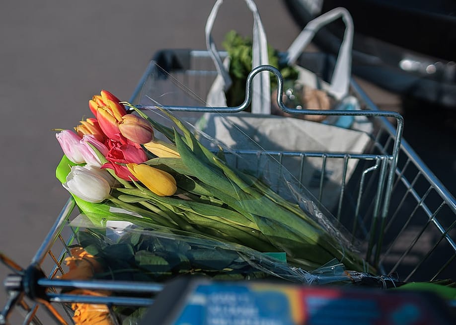 Fresh colorful tulips in a shopping cart. — aerogondo2 // Shutterstock