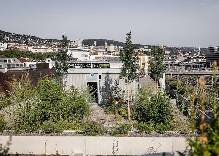 A rooftop with greenery in an urban neighborhood. — Courtesy of Stephan Brenneisen