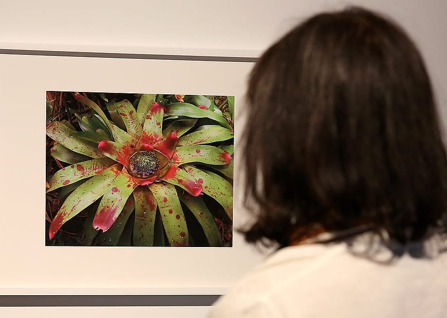 The work "Bounty 45" by Steve McQueen is seen during the 13th Berlin Biennale press opening at KW Institute for Contemporary Art, on June 12, 2025 in Berlin, Germany. — Adam Berry // Getty Images