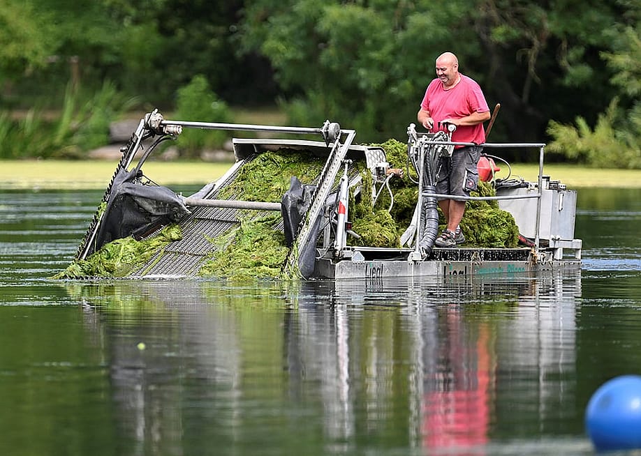 A coxswain in a mowing boat cutting hornwort plants in Max-Eyth lake, Stuttgart, Germany. — THOMAS KIENZLE // AFP via Getty Images