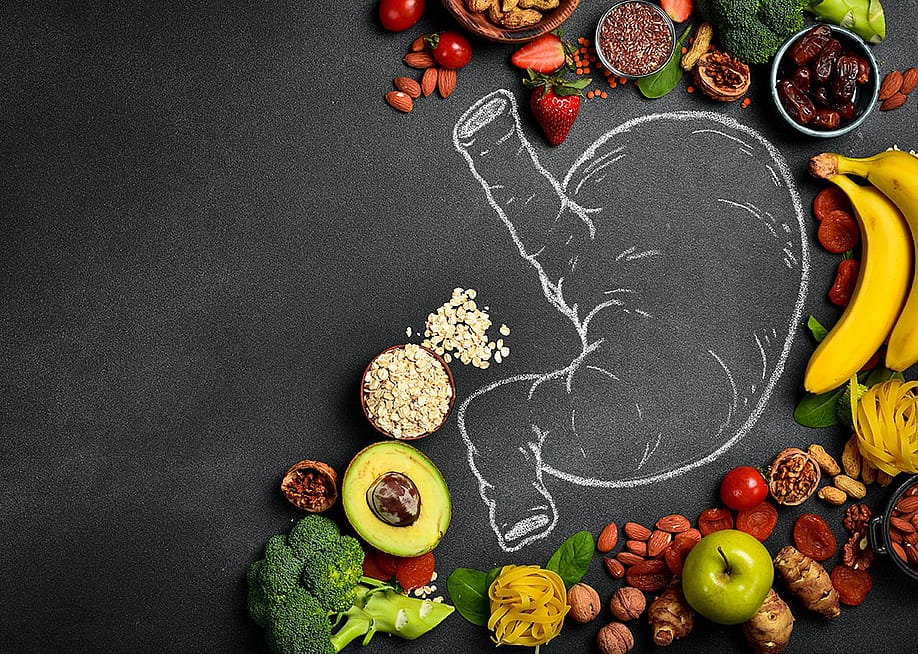 Fresh fruits and vegetables surrounding a drawing of the digestive system. — YARUNIV Studio // Shutterstock