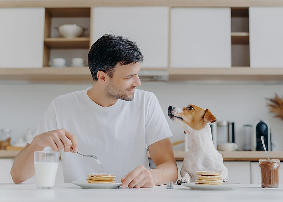 Man at home eating pancakes with his dog. — vk_st // Shutterstock