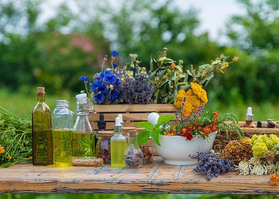 Various medicinal herbs and natural tinctures in a wooden table. — Anuta23 // Shutterstock
