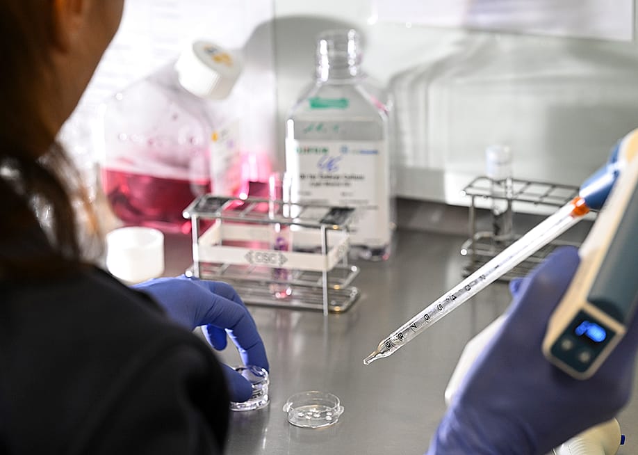 Culture dishes were prepared for egg collection after retrieval in a cell laboratory at Fertility Center Berlin, Germany. — Jens Kalaene // picture alliance via Getty Images
