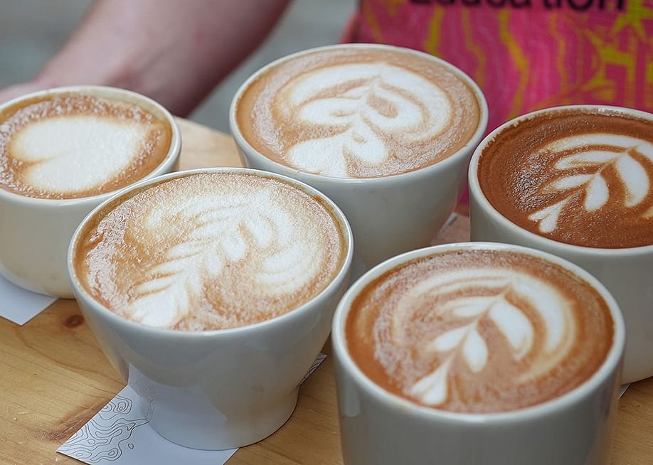 Cups of latte on a tray. — EF Adventures