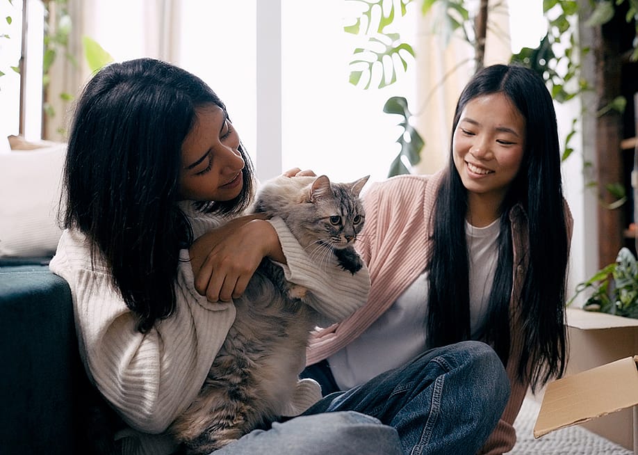 Two persons petting a cat while unpacking boxes in their new room. — Daniel Megias // Shutterstock