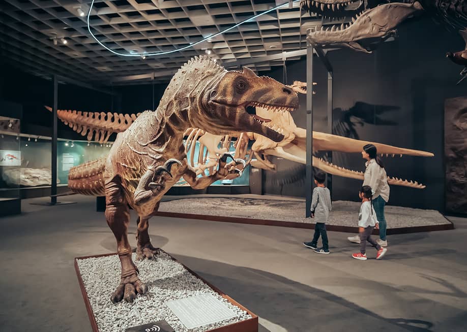 A family visiting an exhibition of dinosaur skeletons during the Jurassic and Cretaceous Period in Munster Natural History Museum in Germany. — frantic00 // Shutterstock