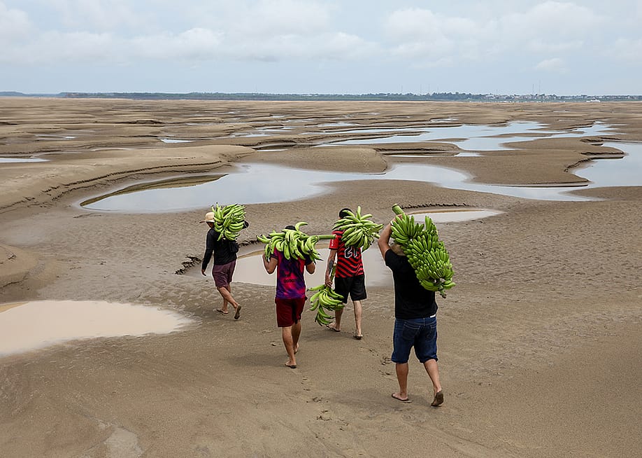 Aerial view of riverbank dwellers carrying banana produce over the dry Solimoes riverbed in the Pesqueiro community in Manacapuru, Amazonas state in northern Brazil. — MICHAEL DANTAS // AFP via Getty Images