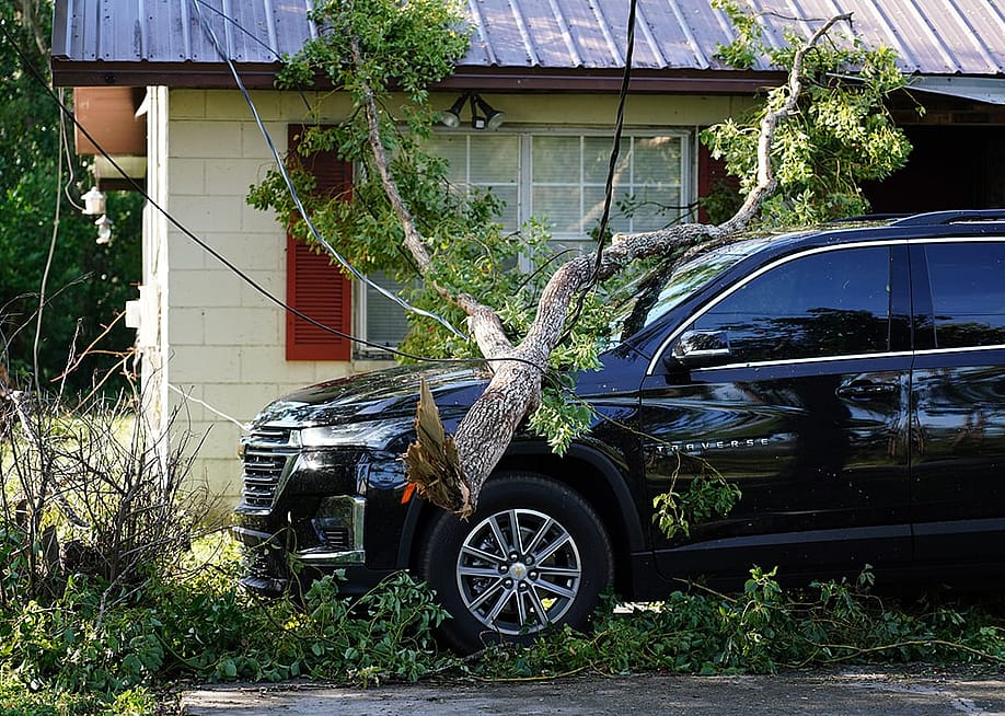 A tree branch that fell on top of an SUV after Hurricane Helene. — K M H P H O T O V I D E O // Shutterstock