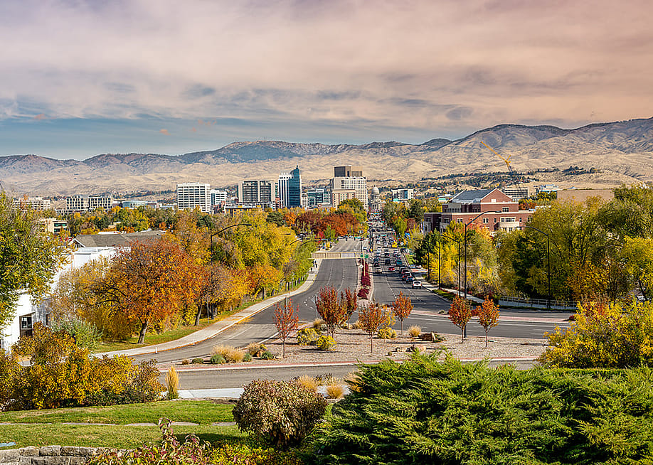 A view of the Boise, Idaho capital roads and trees during the fall season. — Charles Knowles // Shutterstock