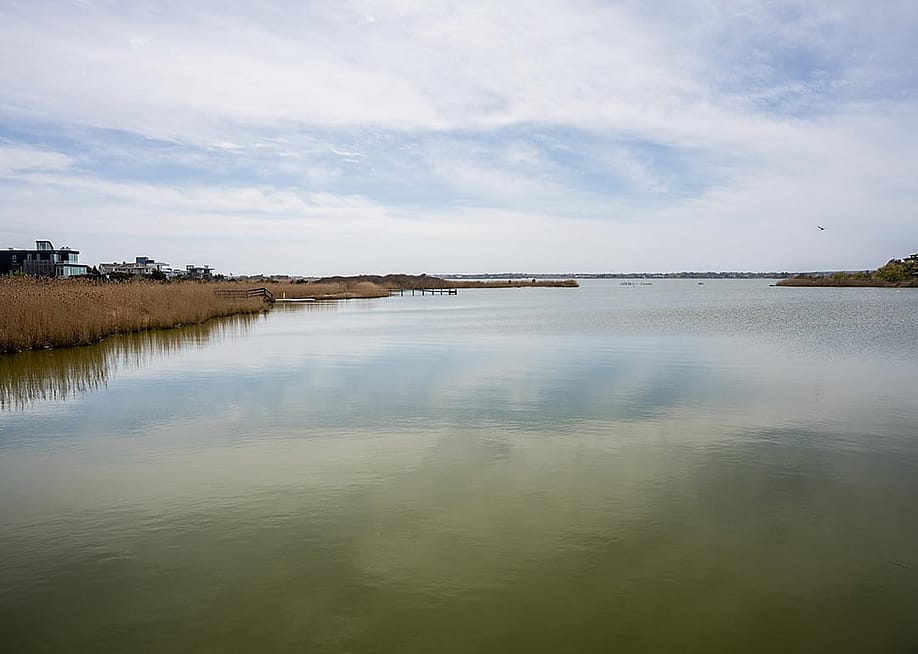 A view of the calm waters of Mecox Bay where Vibrio vulnificus, a deadly flesh-eating bacteria, is found on April 29, 2026, in Southampton, New York. — Thomas Hengge // Anadolu via Getty Images