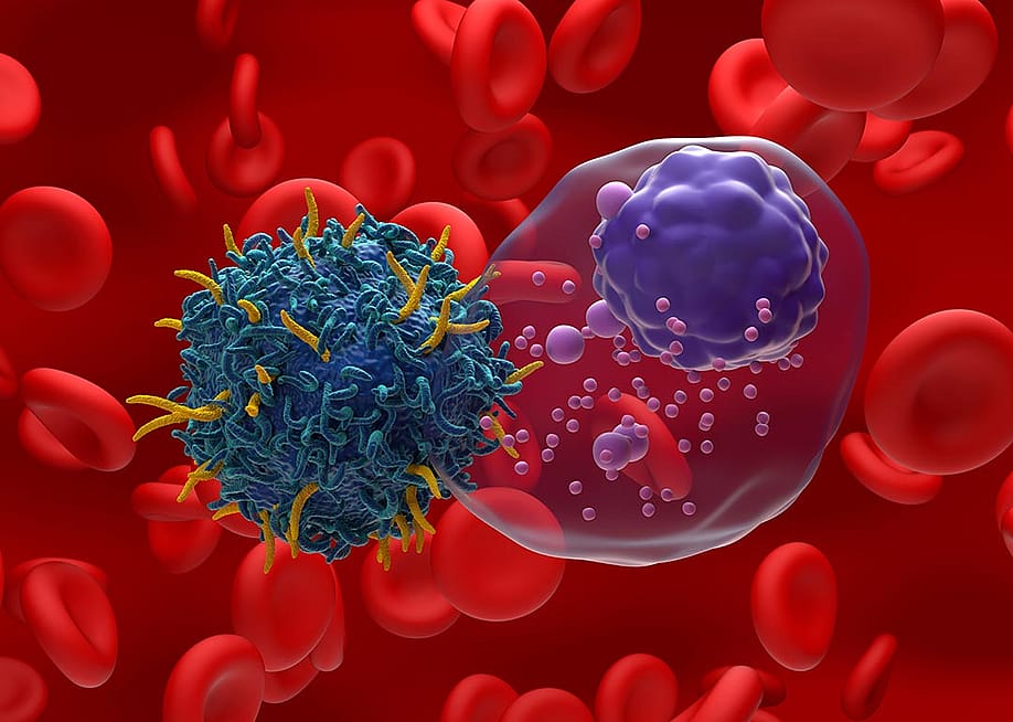 A 3D illustration of an antigen receptor (CAR) T-cell targeting multiple myeloma (MM) cancer cells. — Nemes Laszlo // Shutterstock