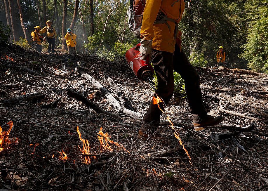 A Prescribed Burn Association (PBA) member uses a drip torch to ignite a controlled burn at the Pacific Union College Forest on May 15, 2025 in Angwin, California.. — Justin Sullivan // Getty Images