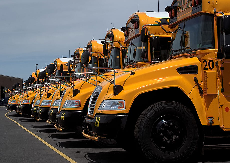 A row of yellow school buses in a parking lot. — Meredith Heil // Shutterstock