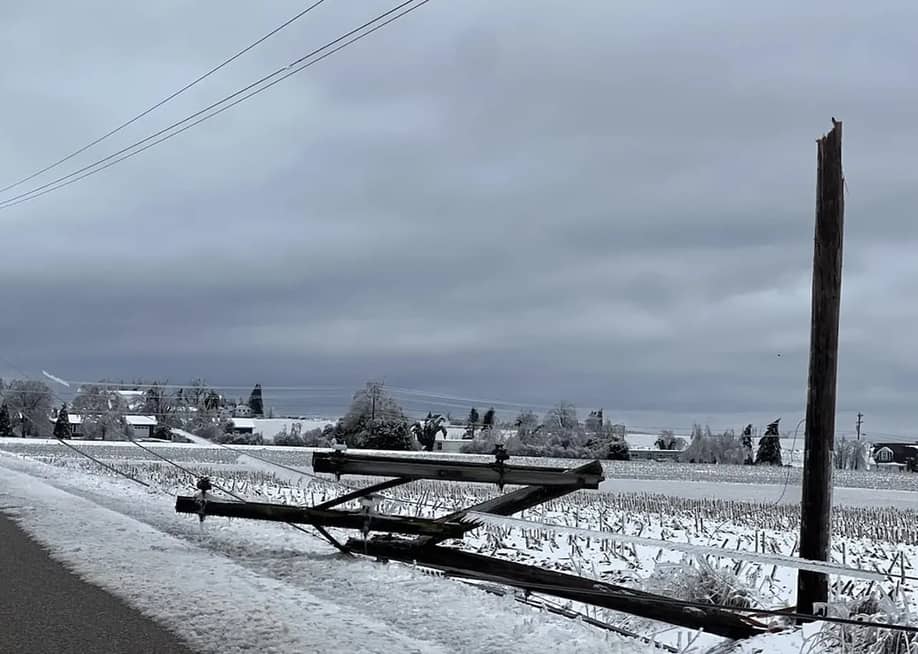 An ice storm in northern Michigan in March 2025 brought down trees and power lines, causing widespread damage and outages. — Michael Livingston // IPR News