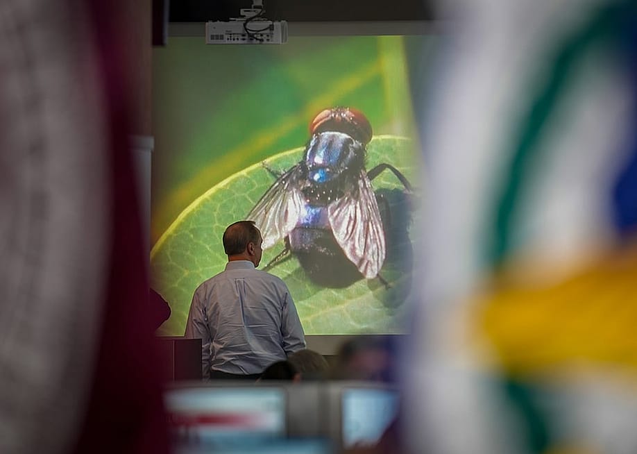 An official with the Texas A&M AgriLife Extension works at the State Operations Center during Texas' response to the New World Screwworm in Austin. — Jay Janner // The Austin American-Statesman via Getty Images