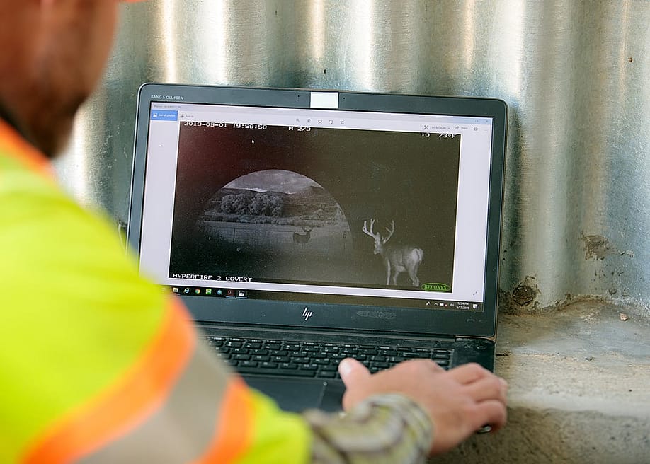 Photographer Mark Lawler from the Colorado Department of Transportation looking at photos that came from a remote camera, which captured wildlife in Buena Vista, Colorado, USA. — Matthew Staver // For The Washington Post via Getty Images