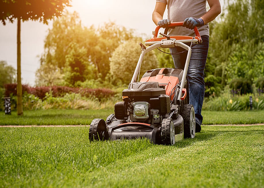 A gardener moving the lawn grass before making a landscape design. — Roman Zaiets // Shutterstock