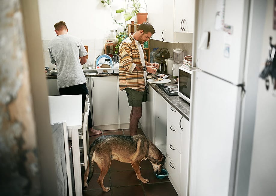A young gay couple cooking together in their kitchen and feeding their dog. — PeopleImages // Shutterstock
