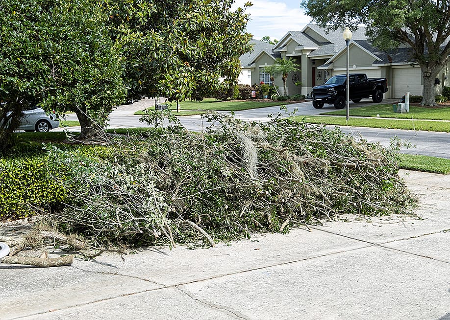 Trimmings of trees on the side of a residential street for waste pickup. — John P. Woods // Shutterstock