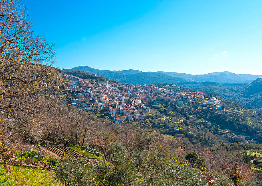 A village of Seulo in the Barbagia region on the Italian island of Sardinia. — Enrico Spanu // REDA / Universal Images Group via Getty Images